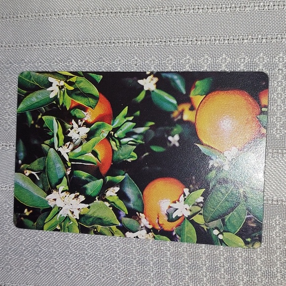 VTG Souvenir of Florida Oranges Play Cards - Picture 6 of 6